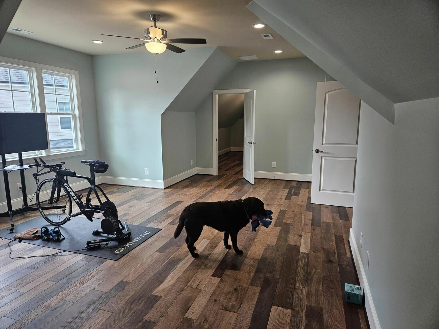 Attics and Dormers - Omni Construction Company